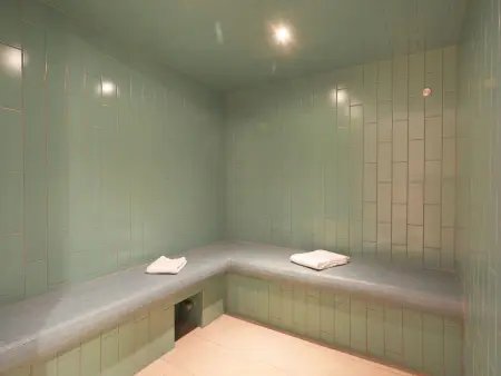 Le Hameau, Appartement 2 personnes à Les Deux Alpes - Photo 9