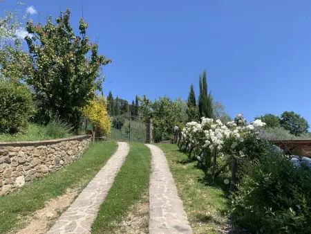 L'Angolo di Uzzano, Appartement 4 personnes à Greve in Chianti - Photo 74