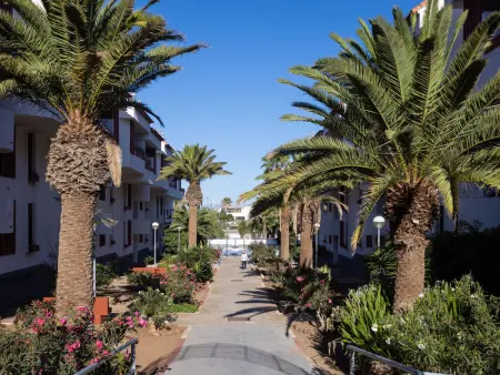 Comfy Altemar, Appartement 4 personnes à Playa de las Américas - Photo 29
