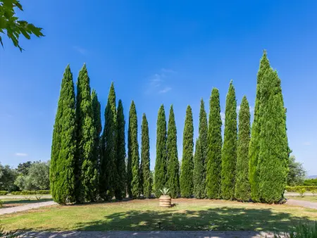 Quercia Alta, Appartement 4 personnes à Scarlino - Photo 28