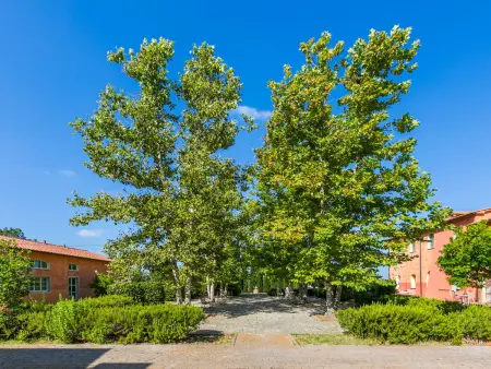 Quercia Alta, Appartement 4 personnes à Scarlino - Photo 29