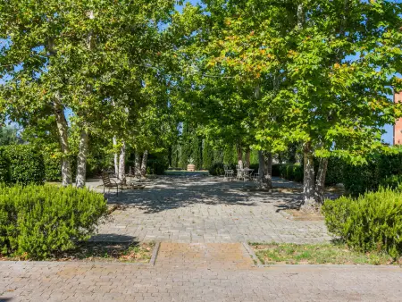 Quercia Alta, Appartement 4 personnes à Scarlino - Photo 30