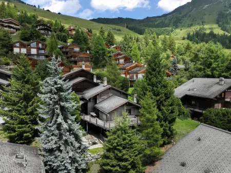 Sernisa Rez, Appartement 4 personnes à Verbier - Photo 17