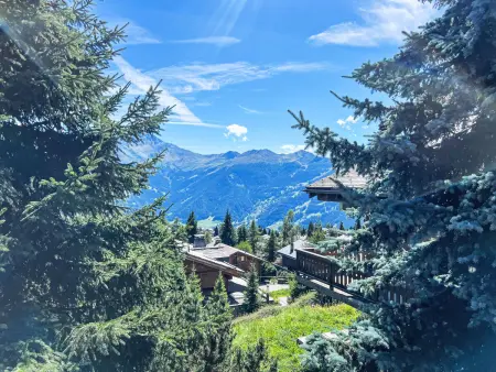 Sernisa Rez, Appartement 4 personnes à Verbier - Photo 20