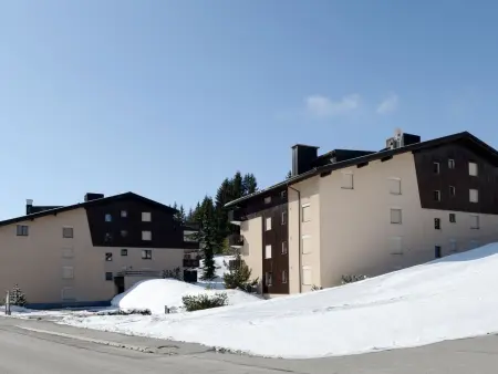 A302, Appartement 4 personnes à Lenzerheide - Photo 29