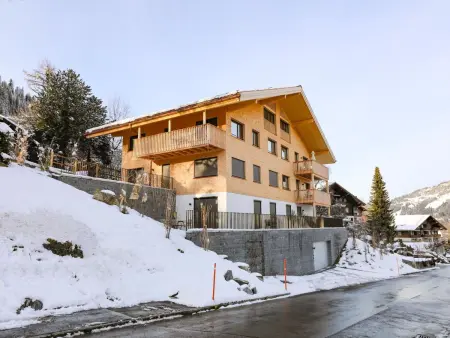 Gletscherhorn Sockelgeschoss Südwest, Appartement 4 personnes à Zweisimmen - Photo 10