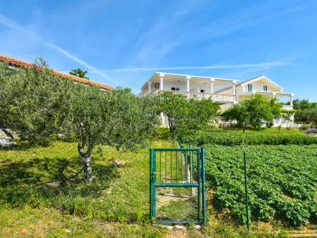 Aurora, Appartement 6 personnes à Maslenica - Photo 27