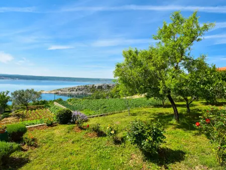 Aurora, Appartement 6 personnes à Maslenica - Photo 29