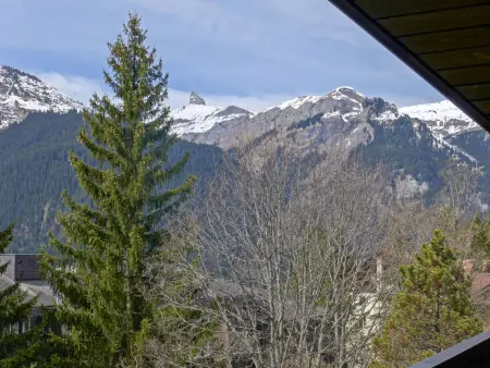 Im Gruebi Apt.5, Appartement 5 personnes à Wengen - Photo 14