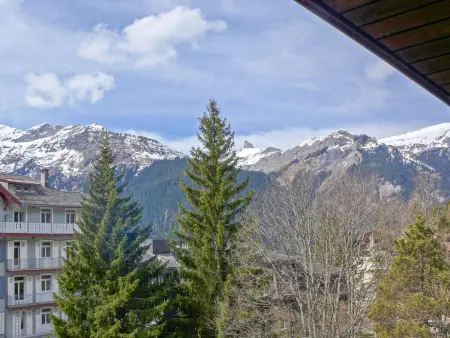 Im Gruebi Apt.5, Appartement 5 personnes à Wengen - Photo 26