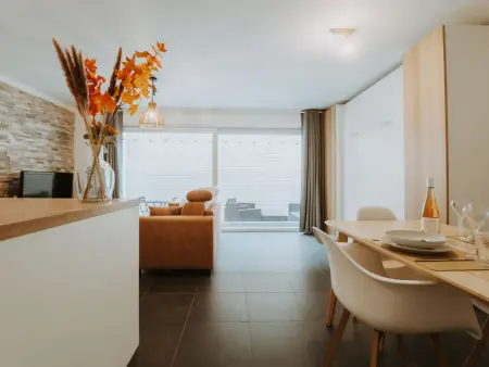 Oasi with parking and terrace, Appartement 2 personnes à Blankenberge - Photo 17