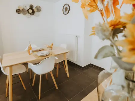 Oasi with parking and terrace, Appartement 2 personnes à Blankenberge - Photo 20