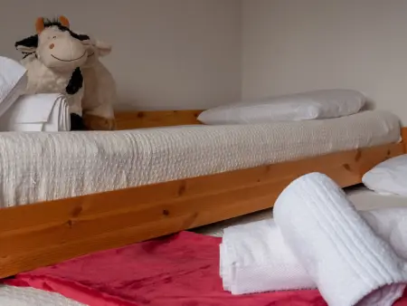 Ferme de Sandra E0, Appartement 4 personnes à Nendaz - Photo 13