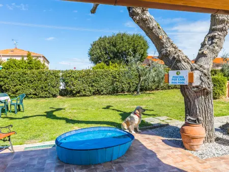 Donatella, Appartement 5 personnes à Cecina - Photo 5