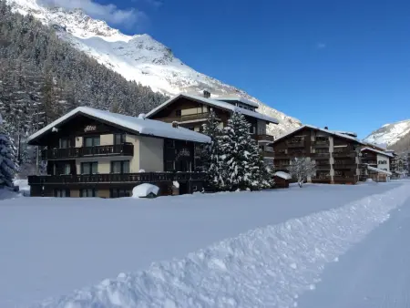 Ferienhaus Alea, Appartement 2 personnes à Saas Grund - Photo 1