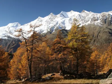 Ferienhaus Alea, Appartement 2 personnes à Saas Grund - Photo 10