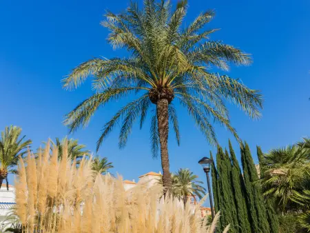 Cala Blanca Denia, Appartement 2 personnes à Dénia - Photo 19