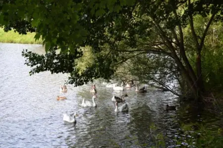 Les Doyards 3, Appartement à Vielsalm près de Les Doyards - Photo 25