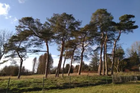 Résidence Durbuy 1, Studio en Belgique près de la forêt Ardennes - Photo 21