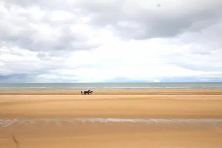 Le Petit Marais, Séjour Romantique, Isigny-sur-Mer - Photo 29
