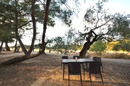 Le trois chambres, Appartement avec piscine au coeur des vignes - Photo 20