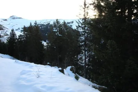 Les Portes du Grand Massif 8, Séjour confortable à la montagne avec balcon - Photo 29