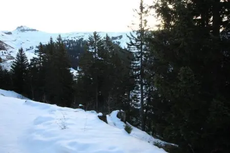 Les Portes du Grand Massif 9, Retraite familiale au Grand Massif - Photo 34