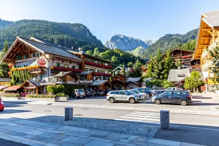 App. 8p., Appartement de charme dans les Alpes - Photo 35
