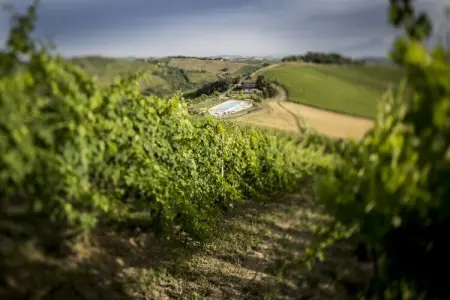 Ortica Studio, Séjour paisible à San Savino - Photo 28