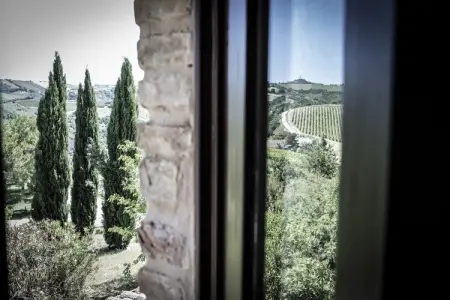 Ginestra, Retraite à flanc de colline à San Savino - Photo 37