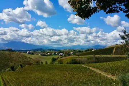 Peperoncino, Charmante retraite à San Savino - Photo 29