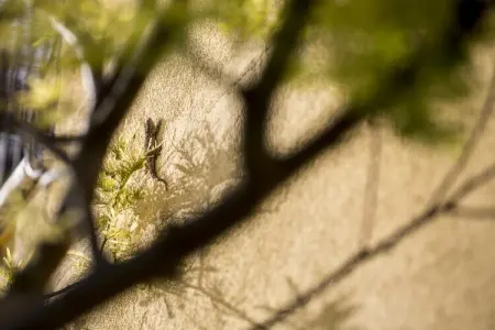 Peperoncino, Charmante retraite à San Savino - Photo 31