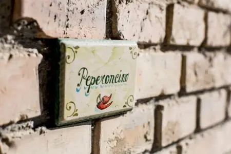 Peperoncino, Charmante retraite à San Savino - Photo 39