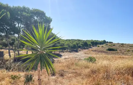 Appartement 4 personnes à Torrevieja - Photo 27