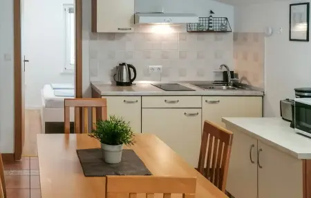 Appartement 4 personnes à Sveti Filip i Jakov - Photo 6