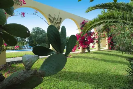 Apartamento  standar, Finca à Santa Margalida avec Vue - Photo 28