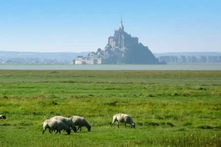Terraced house Cherrueix, Maison près de la baie Mont St. Michel - Photo 19
