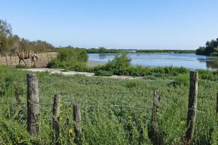 Doppelhaushälfte in Saintes-Maries-de-la-Mer, Maison Saintes-Maries Proche Plages - Photo 18