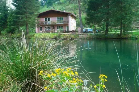 Holiday flats Forellenhof Dabo  / Typ A - 2 Erw 55 qm, Appartement en Alsace au cœur de la nature - Photo 12