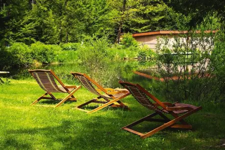 Holiday flats Forellenhof Dabo  / Typ A - 2 Erw 55 qm, Appartement en Alsace au cœur de la nature - Photo 13
