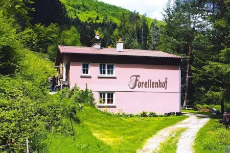 Holiday flats Forellenhof Dabo  / Typ A - 2 Erw 55 qm, Appartement en Alsace au cœur de la nature - Photo 14