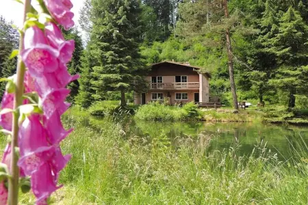Holiday flats Forellenhof Dabo  / Typ A - 2 Erw 55 qm, Appartement en Alsace au cœur de la nature - Photo 15