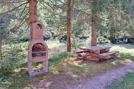 Holiday flats Forellenhof Dabo // Typ B 4 Erw  55 qm, Appartement en Alsace au cœur de la nature - Photo 11