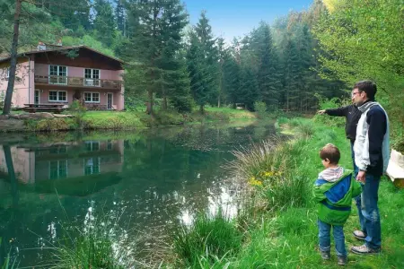 Holiday flats Forellenhof Dabo // Typ B 4 Erw  55 qm, Appartement en Alsace au cœur de la nature - Photo 13