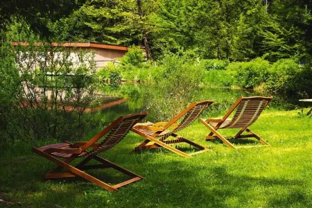 Holiday flats Forellenhof Dabo // Typ B 4 Erw  55 qm, Appartement en Alsace au cœur de la nature - Photo 14