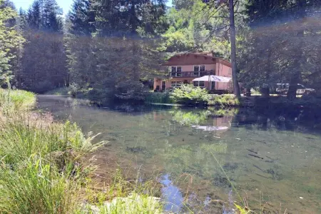 Holiday flats Forellenhof Dabo // Typ C 7 Pers 110 qm, Appartement en Alsace avec terrasse privée - Photo 11