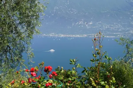 Apartments Casa Tamas, Limone-bilo 2 pax, Appartements Casa Tamas, Limone - Photo 4
