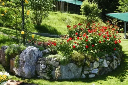 Apartments Casa Tamas, Limone-bilo 2 pax, Appartements Casa Tamas, Limone - Photo 10