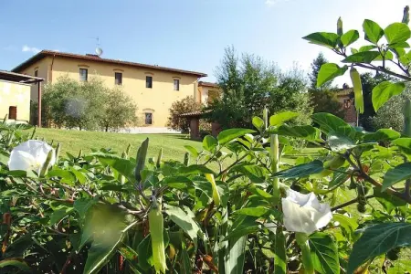 Agri-tourism Poggio al Sole Vinci Type Violetta-Gelsomino, Agritourisme Poggio al Sole, Vinci - Photo 3