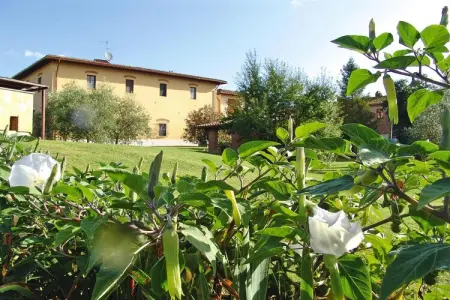 Agri-tourism Poggio al Sole Vinci Type Margherita-Margherita, Agritourisme Poggio al Sole, Vinci - Photo 18